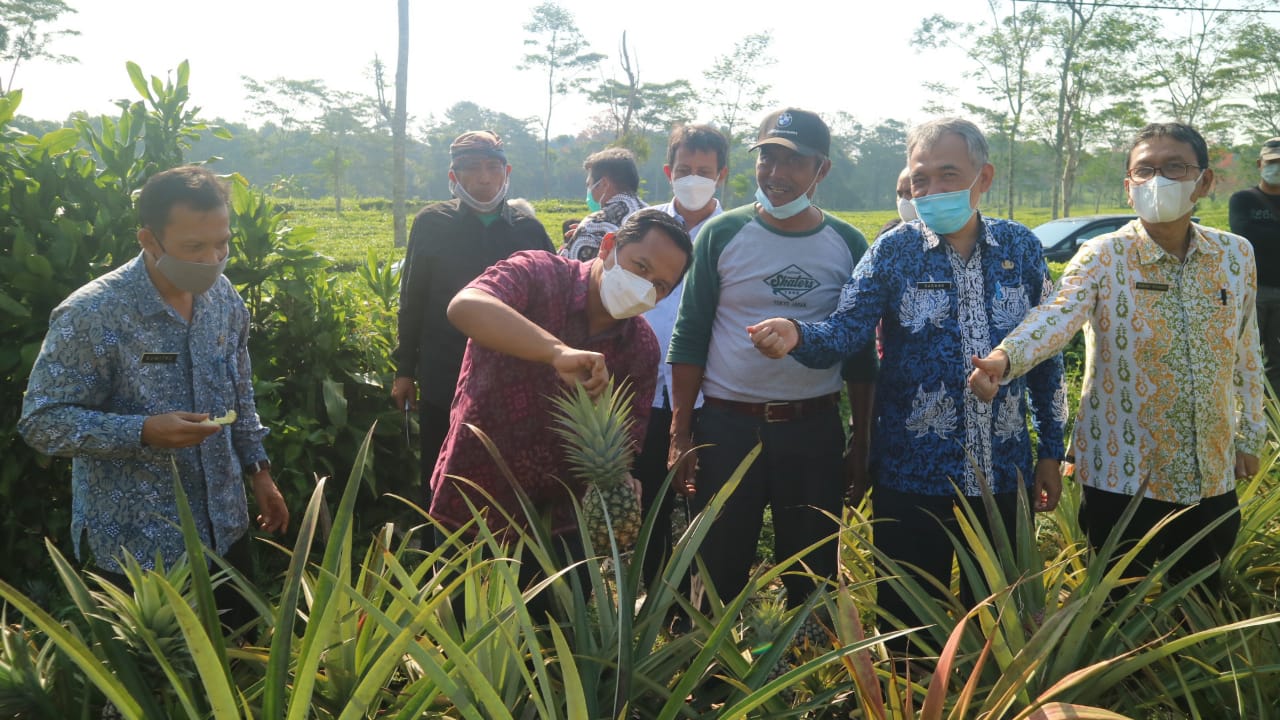 KemenkopUKM Bangun Koperasi Moderen dan Jadi Offtaker Produk Pertanian di Subang